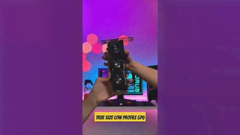 Gigabyte GeForce RTX 4060 OC Low Profile True Size Of Low Profile Graphics Card With A Standard Size